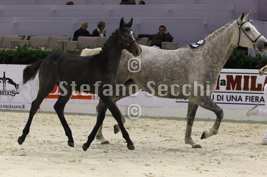 CA D ORO_MILANO_2010_SS3_3938.jpg